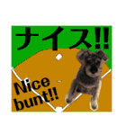 BanBan♥︎（個別スタンプ：1）