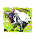 BanBan♥︎（個別スタンプ：5）