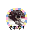 BanBan♥︎（個別スタンプ：6）