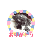 BanBan♥︎（個別スタンプ：9）