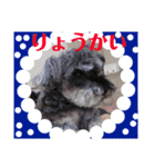 BanBan♥︎（個別スタンプ：14）