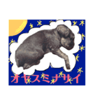 BanBan♥︎（個別スタンプ：20）