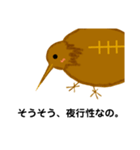ラグビーが好きなキウイ。（個別スタンプ：30）