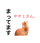 ねこのきもち。イチのきもち。（個別スタンプ：1）