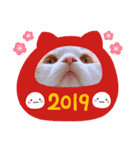 ねこのきもち。イチのきもち。（個別スタンプ：15）