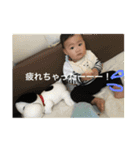 ケンちんスタンプ（個別スタンプ：4）