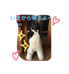 ケンちんスタンプ（個別スタンプ：13）