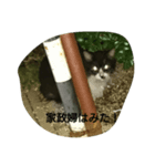近所の野良（個別スタンプ：6）