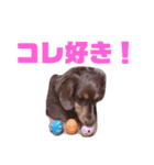 うちのこライム2（個別スタンプ：7）