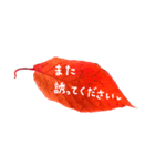 キレイな葉っぱのスタンプ（個別スタンプ：15）