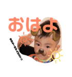 蓮虎スタンプ☆*:（個別スタンプ：7）
