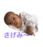 ことねの頑張る毎日⑤（個別スタンプ：12）
