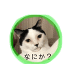あたちよ ナヴィよ2（個別スタンプ：1）
