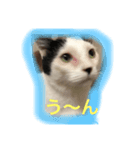 あたちよ ナヴィよ2（個別スタンプ：6）