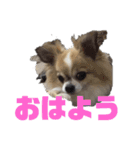 きりぼんぼん2（個別スタンプ：1）