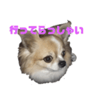 きりぼんぼん2（個別スタンプ：4）