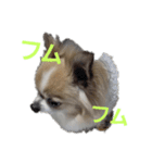 きりぼんぼん2（個別スタンプ：6）