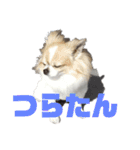 きりぼんぼん2（個別スタンプ：7）