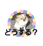 きりぼんぼん2（個別スタンプ：9）