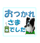 シェルティの日常会話（個別スタンプ：15）