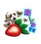 ぼく、モンド。ver.2（個別スタンプ：3）