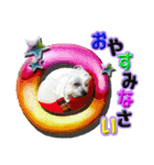 ぼく、モンド。ver.2（個別スタンプ：8）