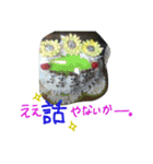 ベトナムで撮った写真×大阪弁バージョン（個別スタンプ：22）