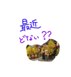 ベトナムで撮った写真×大阪弁バージョン（個別スタンプ：27）
