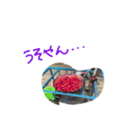 ベトナムで撮った写真×大阪弁バージョン（個別スタンプ：36）