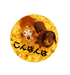 牛鶴ちゃん（個別スタンプ：8）