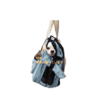 チワワのぼく（個別スタンプ：22）