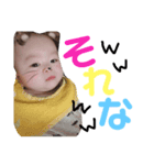 とりぁえず、タンバリンシャンシャン（個別スタンプ：3）