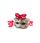 むぎねこ。（個別スタンプ：7）