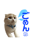 むぎねこ。（個別スタンプ：8）