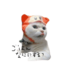 ねこ (スコ ちくわ)（個別スタンプ：9）