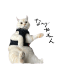 ねこ (スコ ちくわ)（個別スタンプ：20）