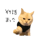 ねこ (スコ ちくわ)（個別スタンプ：25）