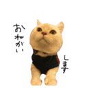 ねこ (スコ ちくわ)（個別スタンプ：26）