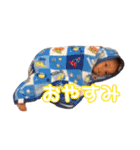 うちの子かわいい 妹登場！！！（個別スタンプ：10）