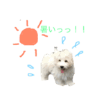 もふ太郎（個別スタンプ：11）