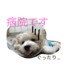 もふ太郎（個別スタンプ：12）