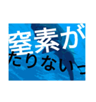 ダイバーの気持ち 2（個別スタンプ：1）