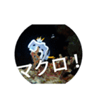 ダイバーの気持ち 2（個別スタンプ：2）