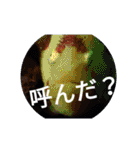 ダイバーの気持ち 2（個別スタンプ：7）