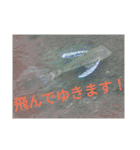 ダイバーの気持ち 2（個別スタンプ：16）