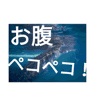 ダイバーの気持ち 2（個別スタンプ：17）