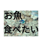 ダイバーの気持ち 2（個別スタンプ：18）