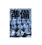 ダイバーの気持ち 2（個別スタンプ：21）