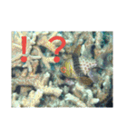 ダイバーの気持ち 2（個別スタンプ：24）