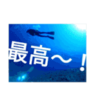 ダイバーの気持ち 2（個別スタンプ：26）
